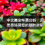 中北美金杯赛分析:洞悉赛场背后的制胜密码(图3) 中北美金杯赛分析:洞悉赛场背后的制胜密码(图3)
