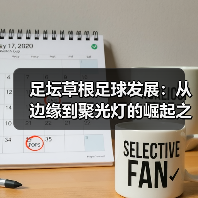 足坛草根足球发展：从边缘到聚光灯的崛起之路（图3）