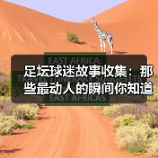 足坛球迷故事收集：那些最动人的瞬间你知道吗？（图1）