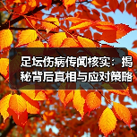 足坛伤病传闻核实：揭秘背后真相与应对策略（图1）