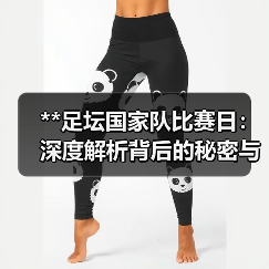 **足坛国家队比赛日：深度解析背后的秘密与机会**（图1）