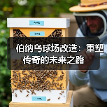 伯纳乌球场改造：重塑传奇的未来之路（图1）