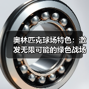 奥林匹克球场特色：激发无限可能的绿色战场（图3）