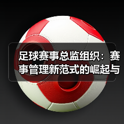 足球赛事总监组织：赛事管理新范式的崛起与实践探索（图4）