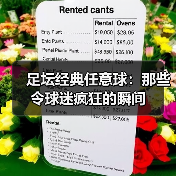 足坛经典任意球：那些令球迷疯狂的瞬间（图1）