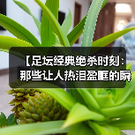 【足坛经典绝杀时刻：那些让人热泪盈眶的瞬间】（图3）