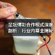 足坛博彩合作模式深度剖析：行业内幕全揭秘（图2）