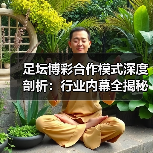 足坛博彩合作模式深度剖析：行业内幕全揭秘（图3）