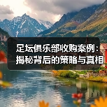足坛俱乐部收购案例：揭秘背后的策略与真相（图2）