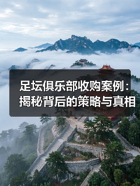 足坛俱乐部收购案例：揭秘背后的策略与真相（图1）