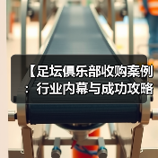 【足坛俱乐部收购案例：行业内幕与成功攻略】（图3）