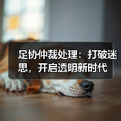 足协仲裁处理：打破迷思，开启透明新时代（图3）