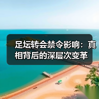 足坛转会禁令影响：真相背后的深层次变革（图1）