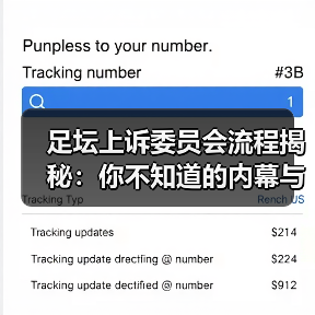 足坛上诉委员会流程揭秘：你不知道的内幕与实操技巧（图1）