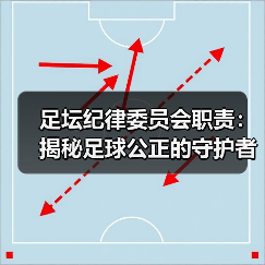 足坛纪律委员会职责：揭秘足球公正的守护者（图2）