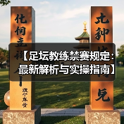 【足坛教练禁赛规定：最新解析与实操指南】