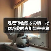 足坛转会禁令影响：揭露隐藏的真相与未来趋势（图2）