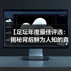 【足坛年度最佳评选：揭秘背后鲜为人知的真相】（图3）