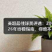 英超最佳球员评选：2026年终极指南，你绝不能错过的内幕（图3）