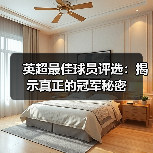 英超最佳球员评选：揭示真正的冠军秘密（图3）