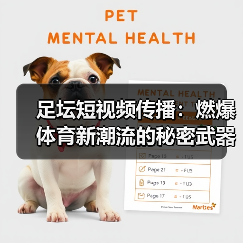 足坛短视频传播：燃爆体育新潮流的秘密武器（图2）