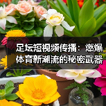 足坛短视频传播：燃爆体育新潮流的秘密武器（图3）
