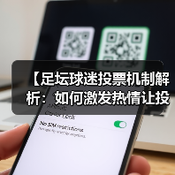 【足坛球迷投票机制解析：如何激发热情让投票更公平】（图3）
