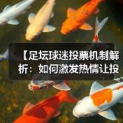 【足坛球迷投票机制解析：如何激发热情让投票更公平】（图1）