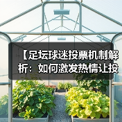 【足坛球迷投票机制解析：如何激发热情让投票更公平】（图2）