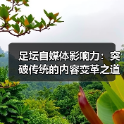 足坛自媒体影响力：突破传统的内容变革之道（图4）