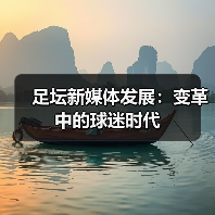 足坛新媒体发展：变革中的球迷时代（图3）