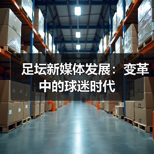足坛新媒体发展：变革中的球迷时代（图1）