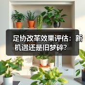 足协改革效果评估：新机遇还是旧梦碎？（图3）