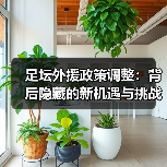 足坛外援政策调整:背后隐藏的新机遇与挑战(图2) 足坛外援政策调整:背后隐藏的新机遇与挑战(图2)