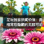 足坛独家新闻价值:真相背后隐藏的无限可能(图2) 足坛独家新闻价值:真相背后隐藏的无限可能(图2)
